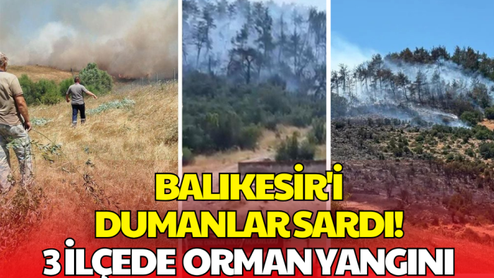 Balıkesir'de Peş Peşe Orman Yangınları! Üç İlçede Ekipler Seferber Oldu